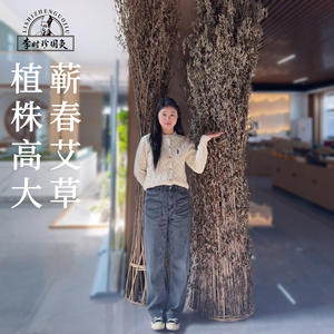 Bâtonnets de moxa Li Shizhen National Moxibustion Qichun 1,8x2,7cm en armoise pure faits à la main pour usage domestique et soins corporels - Product Image 1