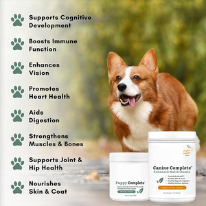 Polvere Multivitaminica OEM Diretta dalla Fabbrica per Cani di Tutte le Età, Supporta una Nutrizione Bilanciata e una Crescita Sana - Product Image 4
