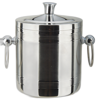 Seau à glace à vin en acier inoxydable isolé à double paroi 1,0L/1,4L/2L avec pinces pour fêtes et hôtels Matériau PC en métal