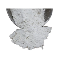 Poudre fine naturelle de carbonate de calcium poussière de roche calcaire antiacide pour les projets de bricolage à la maison pour la texture de la peinture à la craie