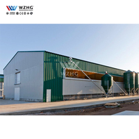 Structure en acier pour élevage avicole à grande échelle, conception de poulailler métallique pour l'élevage de poulets de chair, à vendre