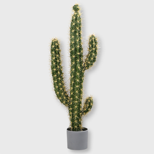 Molde abatible 1:1 de <span class=keywords><strong>cactus</strong></span> <span class=keywords><strong>artificial</strong></span> al por mayor del fabricante con un toque realista y natural - Product Image 4