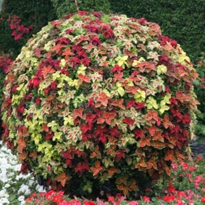 Maceta Redonda para Exteriores, Macetas Grandes de Plástico con Forma de Bola, Maceta para Flores, Bola de Flores Artificiales - Product Image 4