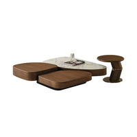 Table Basse Moderne Minimaliste Irrégulière en Bois Ajustable – Ensemble Unique Haut de Gamme pour Canapé et Salon – Table Centrale Naturelle