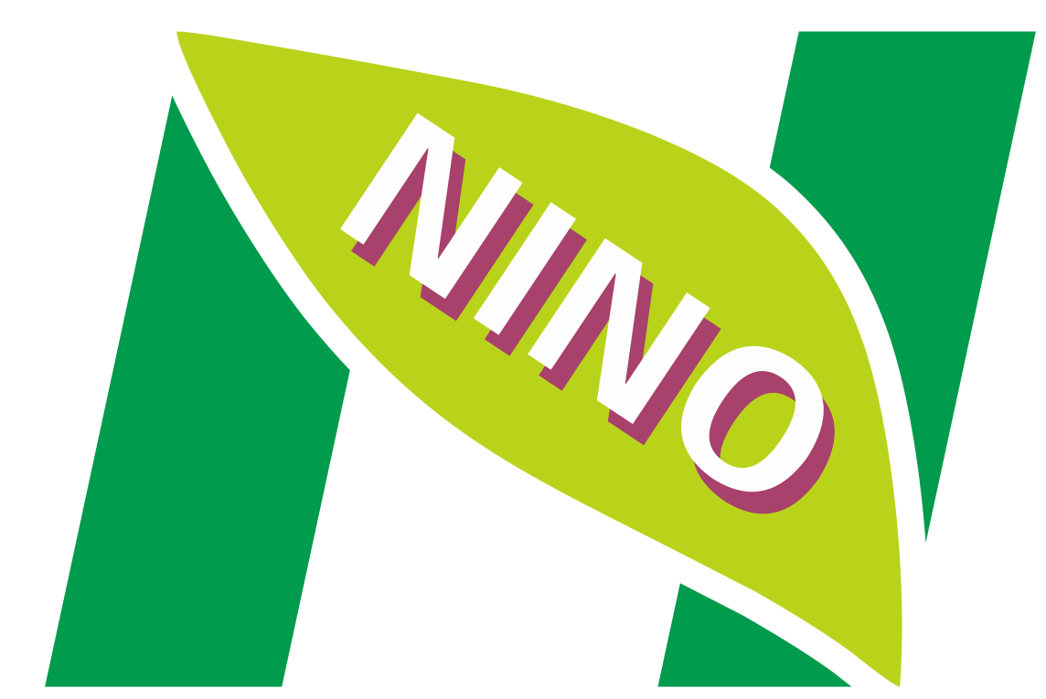 Xiangyang Ningnuo New Energy Vehicle Service Co., Ltd. logo