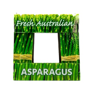 PE Box asparagus corrugated plastic box Low Price PP Collapsible Corrugated Plastic Vegetables Packing Box