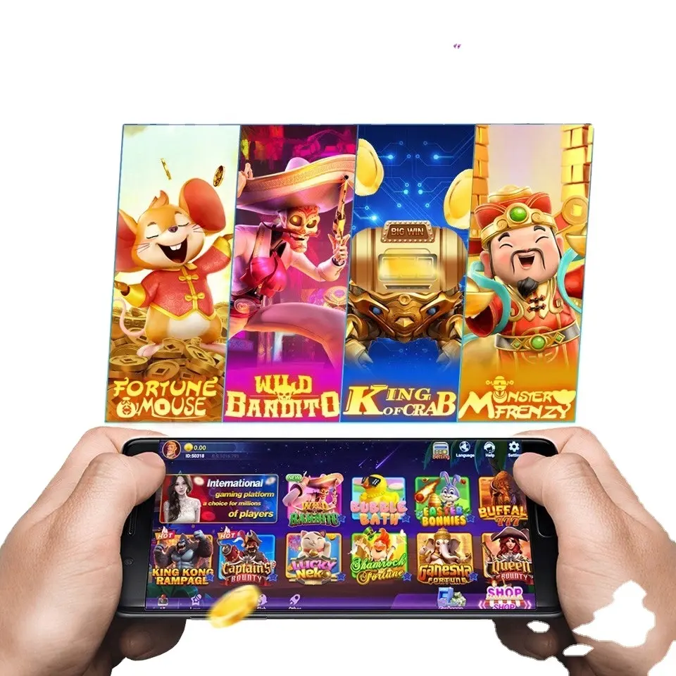 BIG WINNER التموين التوزيع عبر الإنترنت لتطوير اللعبة JUWA/Firekirin/milkyway/orionstars/Vpower/Gameroom Golden Dragon