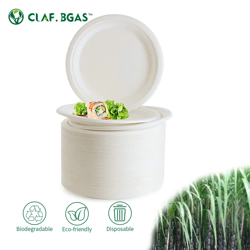 100% Compostable Biodegradable Sugarcane Bagasse Products Disposable Togo Plates