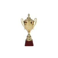 Trophée personnalisé avec logo imprimé UV, en métal, or, bronze, fer, laiton, modèle sportif, artisanat populaire, cadeaux moulés