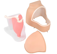 Simulador de entrenamiento artroscópico humano para ciencias médicas, modelo de articulación de hombro para uso en enseñanza médica, CE/ISO