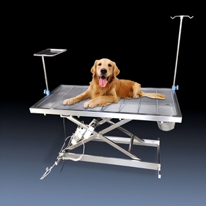 पशु चिकित्सक प्रमाणित कक्षा II पशु चिकित्सा ऑपरेटिंग टेबल स्टेनलेस स्टील 304 इलेक्ट्रिक सर्जिकल इंस्ट्रूमेंट एसी 110-220v - Product Image 3