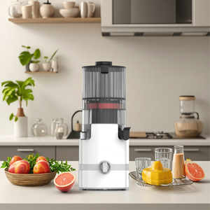 Extractor de Jugos Multifuncional de 1.5L, Silencioso, Fácil de Montar, Prensado en Frío, para Exteriores, de Plástico - Product Image 3