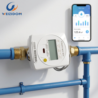 Compteur d'eau intelligent à ultrasons DN15-DN40 IP68 ISO4064 LoRaWAN NB-IoT RS485 M-bus Modbus