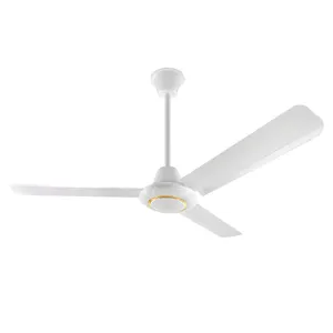 TNTSTAR TG-1140J + nouveau ventilateur de plafond en rotin sans électricité ventilateur de plafond à échappement