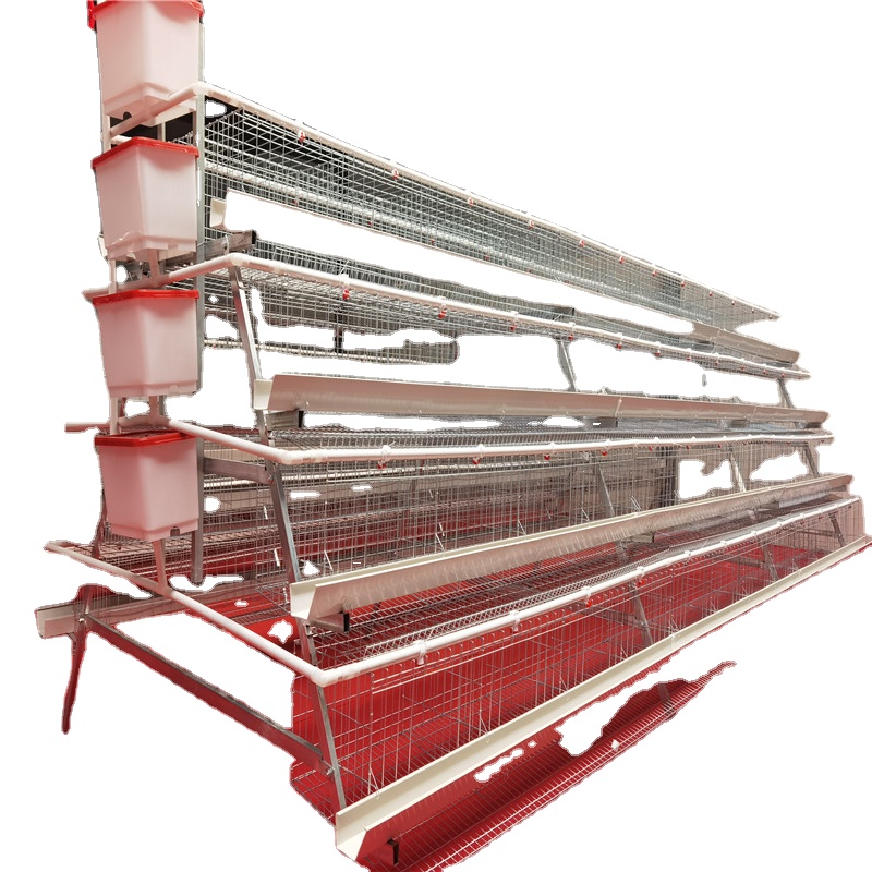 Egg layer chicken cages for 2000 birds poultry farm construction For Sale