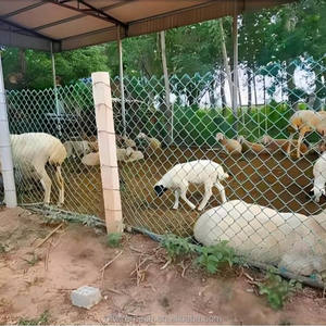 แผงรั้วตาข่ายเหล็กชุบสังกะสีขนาด 4x10 ฟุต พร้อมแผงประตู สำหรับความปลอดภัยในอเมริกาและเป็นรั้วชั่วคราว - Product Image 4