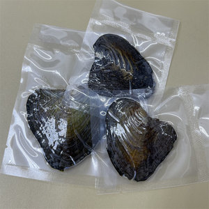 ไข่มุกน้ำจืดแท้ธรรมชาติแบบขายส่ง - Product Image 2