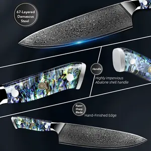 Nhà Máy Bán buôn Chất lượng cao damascuse bào ngư xử lý Sushi Cutter bếp Đầu Bếp Knife Set với Nhật Bản VG10 siêu lõi thép