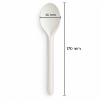 Cuillère jetable en bagasse moulée de 170 mm pour soupes, desserts et kits repas traiteur