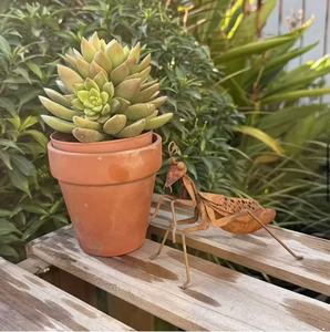 Ornement de <span class=keywords><strong>jardin</strong></span> en métal rouillé vintage en forme de <span class=keywords><strong>Mantis</strong></span> religieuse, sculpture d'insecte en fer résistante aux intempéries pour la décoration artistique extérieure de <span class=keywords><strong>jardin</strong></span> - Product Image 5