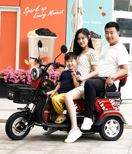 Tricycle tout-terrain 2 places certifié CEE, édition standard ouverte, motorisé 48V pour adultes, puissant moteur 500W offrant S - Product Image 3