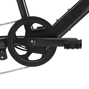 Triciclo Eléctrico de Carga para Adultos, con Batería de Litio de 36V, Dos Ruedas, Neumáticos Gruesos para Arena y Nieve, 250W, Bicicletas Rápidas - Product Image 5