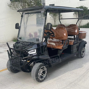 Shininglsv nuovo Design Logo personalizzato 4 posti <span class=keywords><strong>golfo</strong></span> Golf elettrico <span class=keywords><strong>Club</strong></span> Car 5kw motore Golf carrelli da Golf - Product Image 6