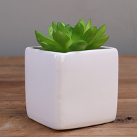 Usine directe personnalisé écologique moderne blanc Mini Cube carré en céramique succulente jardinière en porcelaine Pot de fleur pour la maison jardin