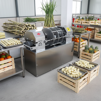 Industriële suikerriet schilmachine van roestvrij staal, automatische suikerriet snij- en schilmachine