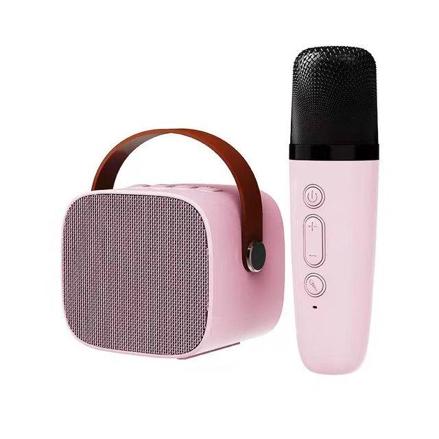 Portable Outdoor Party Speakers Wireless Bluetooth Karaoke Speaker with Mic