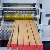 Scie à ruban pour le travail du bois STR, machine à découper les panneaux de bois, scie à ruban automatique à plusieurs lames