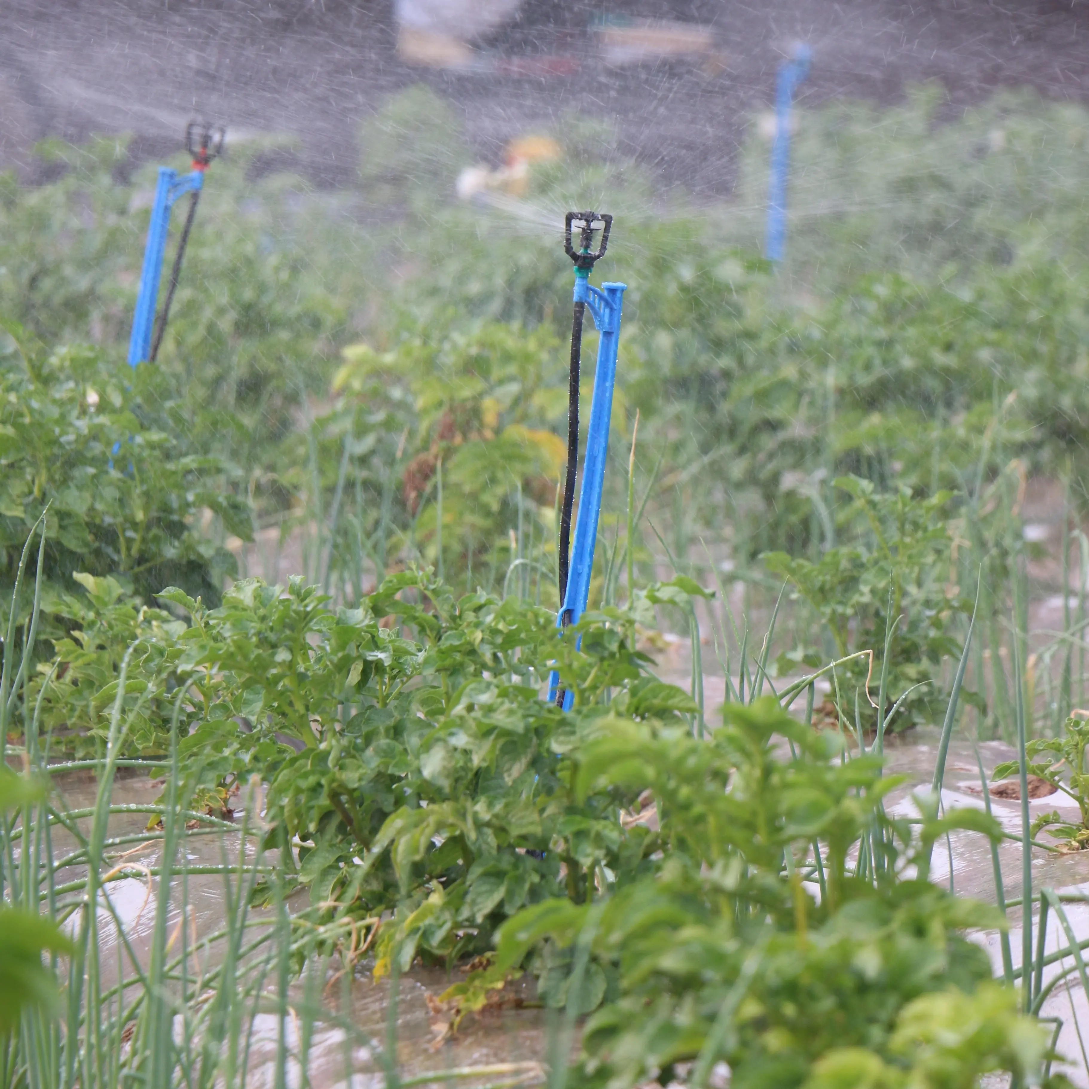 Garden Rotary Micro standing Irrigation Sprinkler for Agricultural Irrigation System