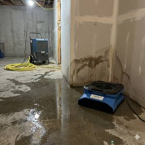 מנוע צנטריפוגלי 1/3 כוח סוס, 1560 סל\\\"ד לייבוש מהיר - Product Image 2