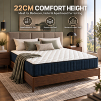 Matelas sous vide de 22 cm avec ressorts ensachés de 20 cm et tissu tricoté pour projets hôteliers, appartements et vente en gros de meubles