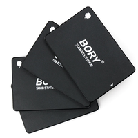 SSD Portatile da 1TB, Disco Rigido Interno SATA 3.0, Scocca in ABS, 2.5 Pollici, Ricondizionato