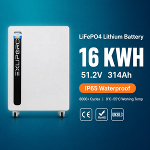 Sistema de Almacenamiento de Energía (ESS) de 16 kWh, 51.2V, 314Ah, LiFePO4, Grado IP65, Celdas de Grado A, 8000 Ciclos, RS485, CAN, Compatible con Growatt, Solis, Victron, Sofar - Product Image 1