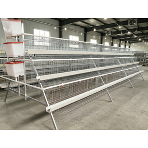 Cage à poules pondeuses de type A à 4/5 niveaux pour élevage avicole, avec système d'alimentation et d'abreuvement - Product Image 5