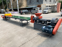 Équipement de fabrication de blocs de charbon de biomasse en Chine, machine d'extrusion de bûches de biochar à partir de copeaux de bois, extrudeuse de briquettes de poussière de charbon