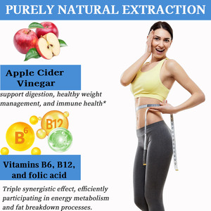 Gummies de vinaigre de cidre de pomme OEM en marque privée – Favorise la santé digestive, fournit des antioxydants, aide à stimuler l'énergie – Complément ACV - Product Image 3