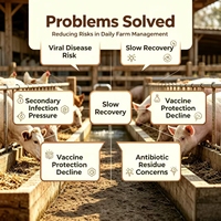 Additif alimentaire YTIYIN : Améliore l'état immunitaire, soulage la suppression immunitaire, réduit les infections pour l'élevage de canards, oies, porcs et poulets
