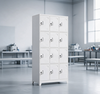 Casier en acier à 12 portes, armoire de rangement métallique avec serrures individuelles, anti-corrosion, pour personnel d'usine, salle de sport, école