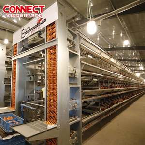 Multi niveles Pondeuse <span class=keywords><strong>Gallo</strong></span> Gallinas Granja Poniendo huevos Equipo de aves de corral Conjunto Sistema de jaula de batería para jaulas de pollos de granja de capas - Product Image 6