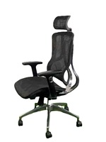 Chaise de bureau ergonomique à dossier haut en maille, avec support lombaire, pivotante, moderne, pour bureau, domicile ou hôtel