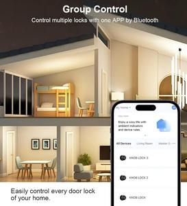 ब्लूटूथ पैडलॉक ट्यूया सिलेंडर लॉक कीलेस लॉक अनलॉक वाई-फाई स्मार्ट डोर हैंडल एल्यूमीनियम डिजिटल लॉक दरवाजा - Product Image 4