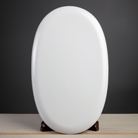 Plaque commémorative ovale vierge en céramique, tablette en porcelaine haute densité pour urne funéraire et commémoration