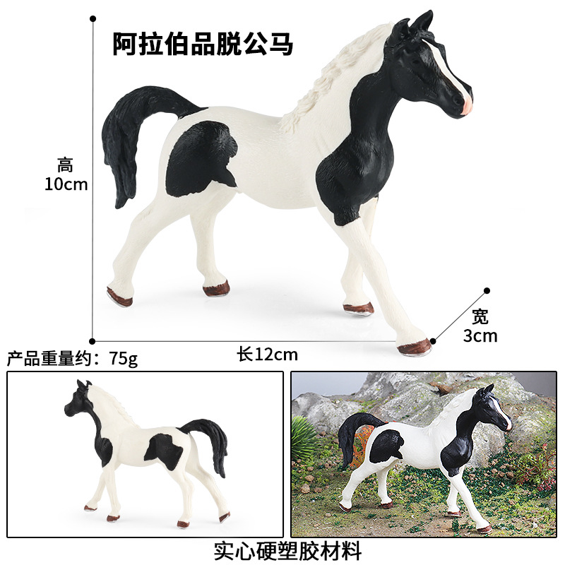 M-2339 de pinte arabe étalon