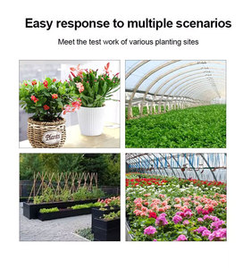 Beste prijs 3-in-1 digitale bodem-<span class=keywords><strong>pH</strong></span>-<span class=keywords><strong>meter</strong></span> Duurzaam plastic ontwerp <span class=keywords><strong>Handheld</strong></span> Directe aflezing 0,1pH nauwkeurigheid 18 maanden garantie OEM/ODM - Product Image 5