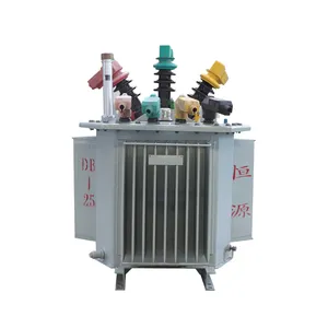 HY Residential Power Distribution Transformer 10kv 20kv 35kv Transformer Oil-Immersed Transformer Toroidal Copper Aluminium