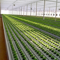 Serres agricoles multi-travées en plastique 4x8 avec bancs roulants hydroponiques et tables de culture mobiles à flux et reflux pour l'agriculture intérieure - Vente en gros