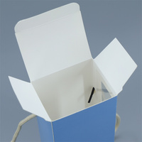 Emballage de cadeau de luxe Emballage avec impression de logo personnalisé Fenêtre en PVC Boîte en papier au design unique avec poignée en corde
